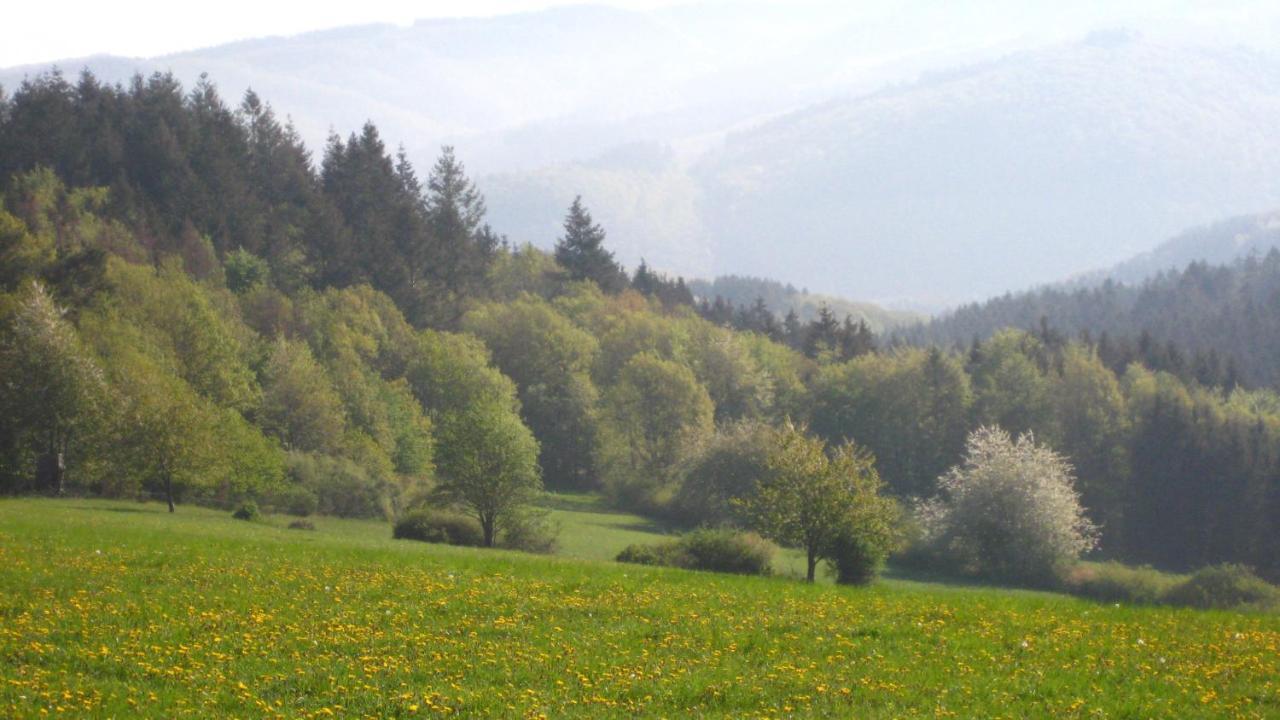 Fewo Marita Wimbach Exterior foto